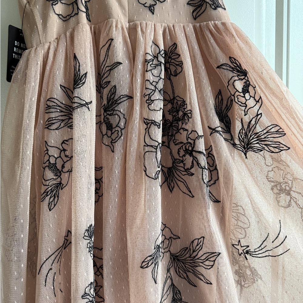 Express Pink Tulle Dress with Black Straps, Embroidered - Picture 3 of 11